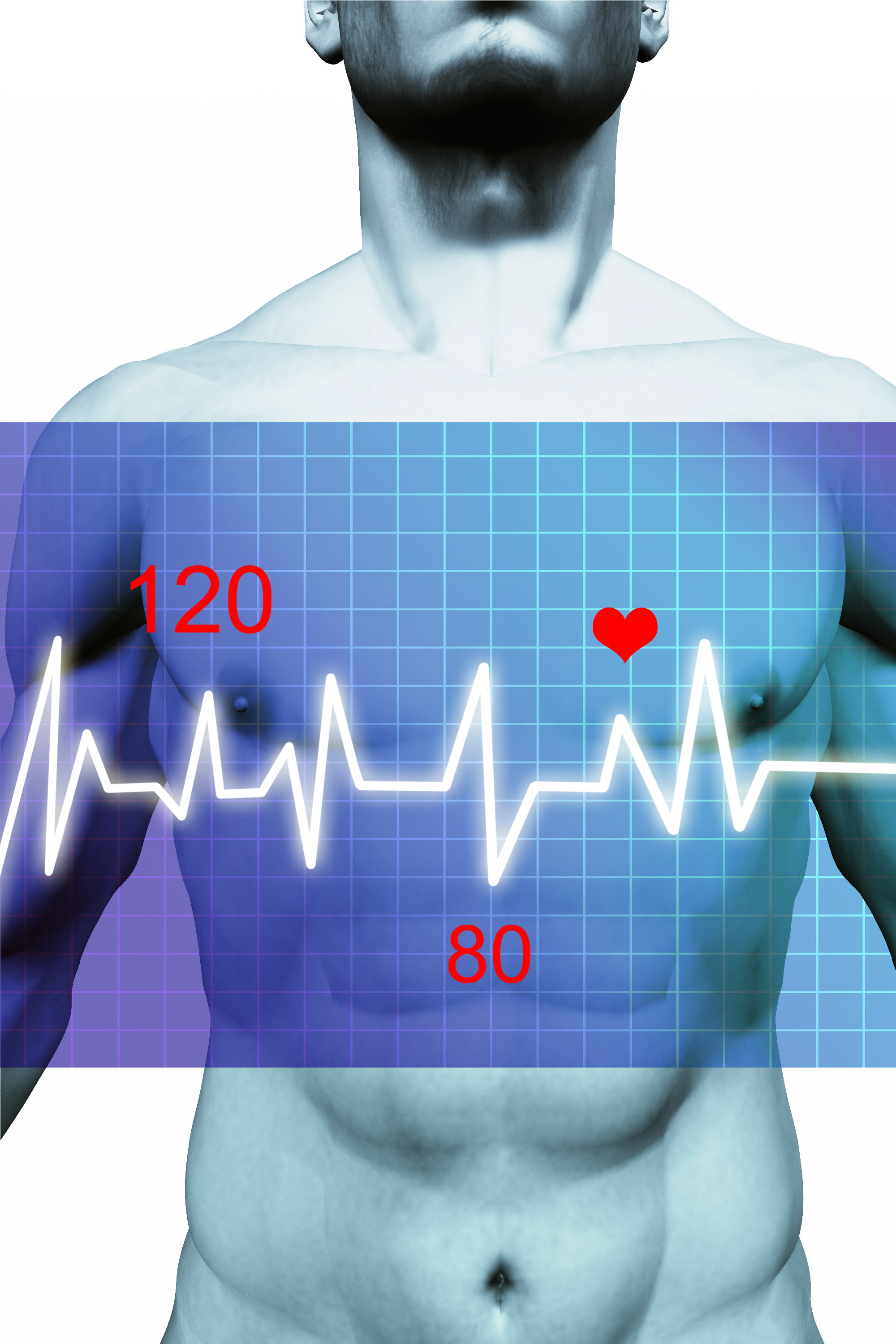 Heart Rate Variability Suite